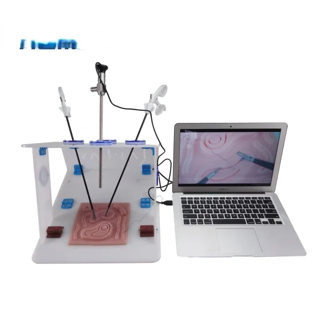 Laparoscopic Endo Trainer with - Woodworking Simulator 评论和价格