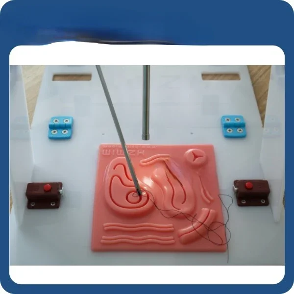 Laparoscopic Endo Trainer with - Woodworking Simulator 评论和价格